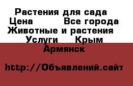 Растения для сада › Цена ­ 200 - Все города Животные и растения » Услуги   . Крым,Армянск